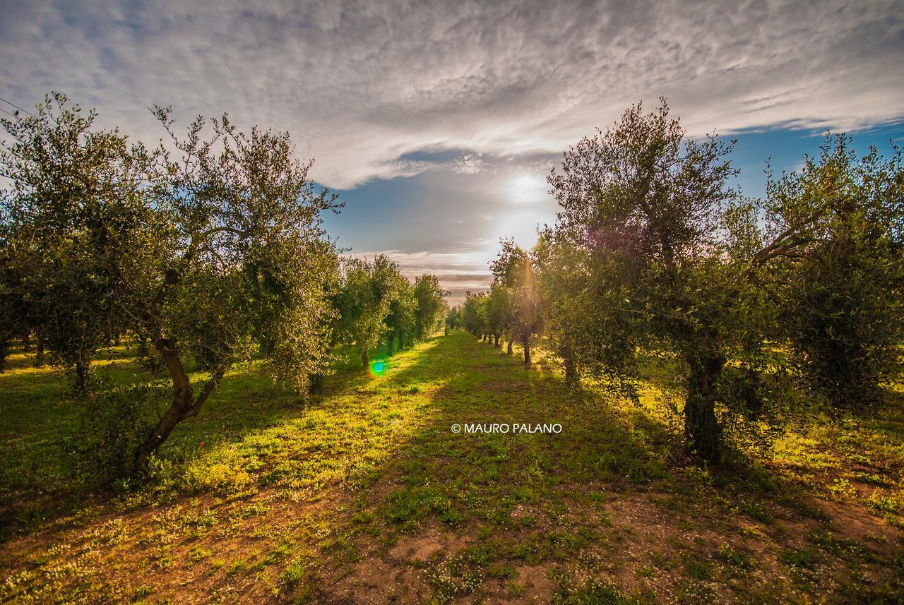 Tenuta Kyrios Борганье Экстерьер фото
