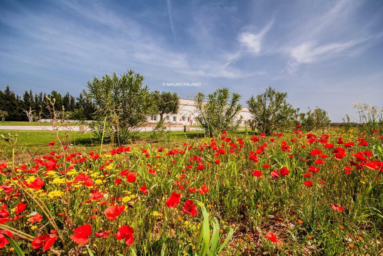 Tenuta Kyrios Борганье Экстерьер фото